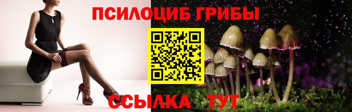 Знаменск  Псилоцибиновые грибы Cubensis  Вход с VPN 